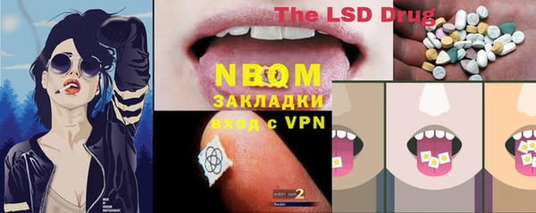 МДПВ Ельня