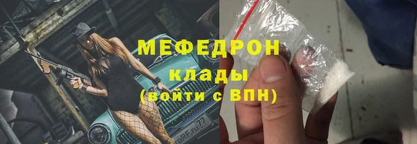 МДПВ Ельня