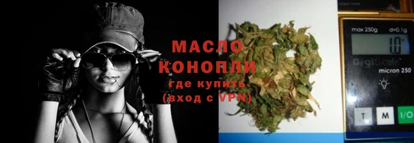 МДПВ Ельня