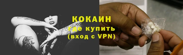 spice Елизово