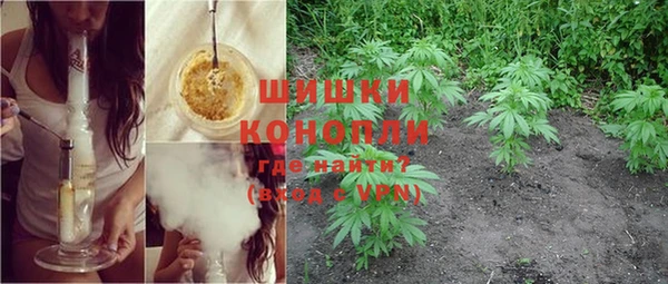 spice Елизово
