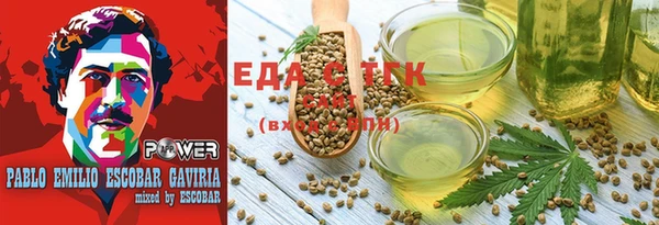 МДПВ Ельня