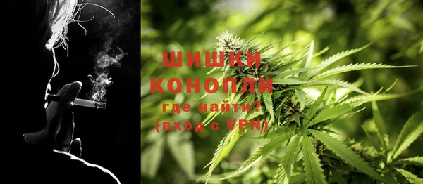 spice Елизово