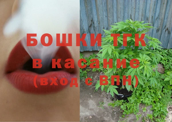 МДПВ Ельня