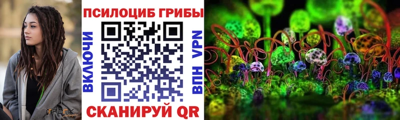 магазин наркотиков Зеленогорск Псилоцибиновые грибы Magic Shrooms
